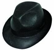 Kangol, Fléchet, hats et caps, model   Panama paper hat